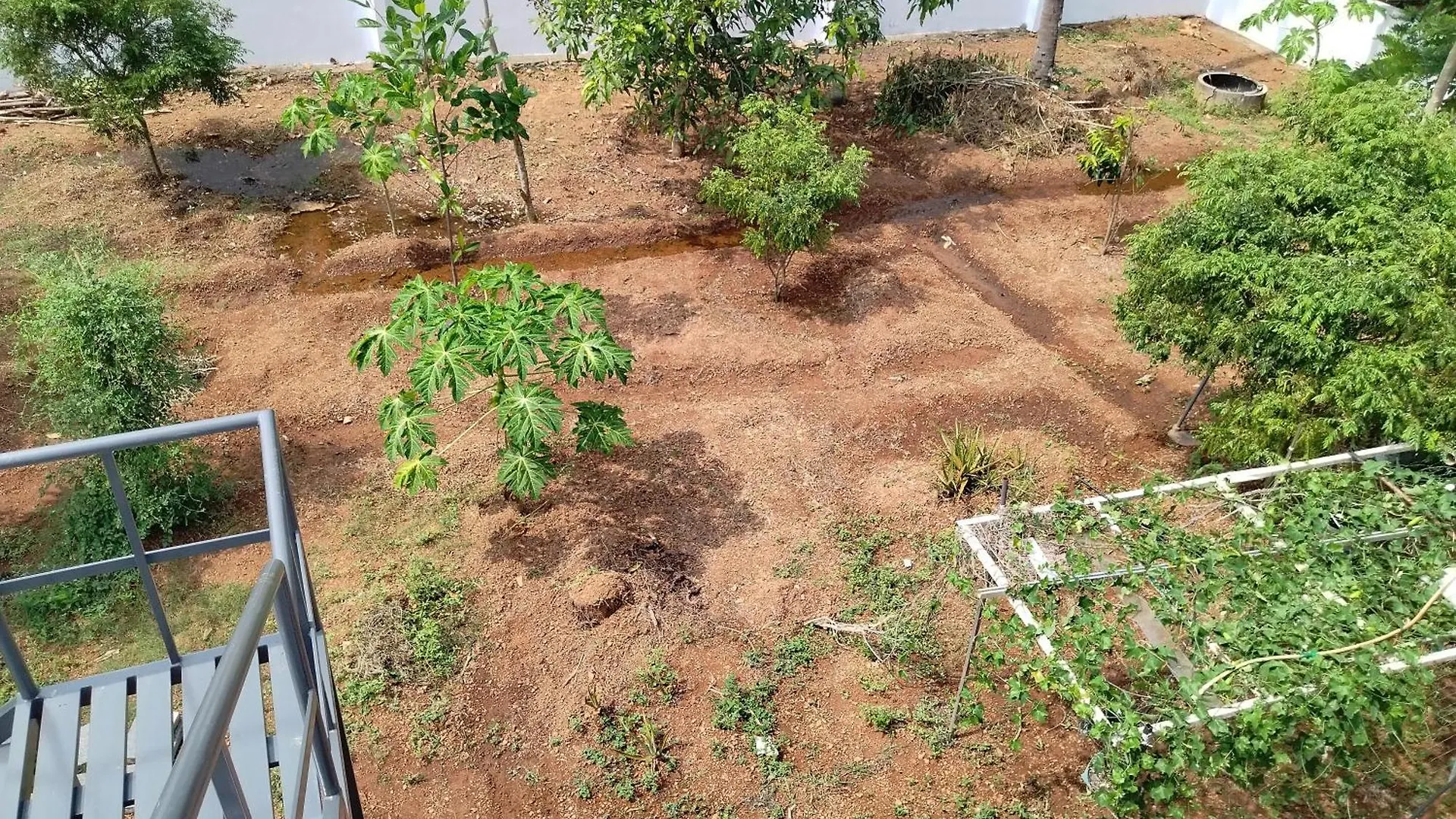 Cozy Homes Nedumbassery